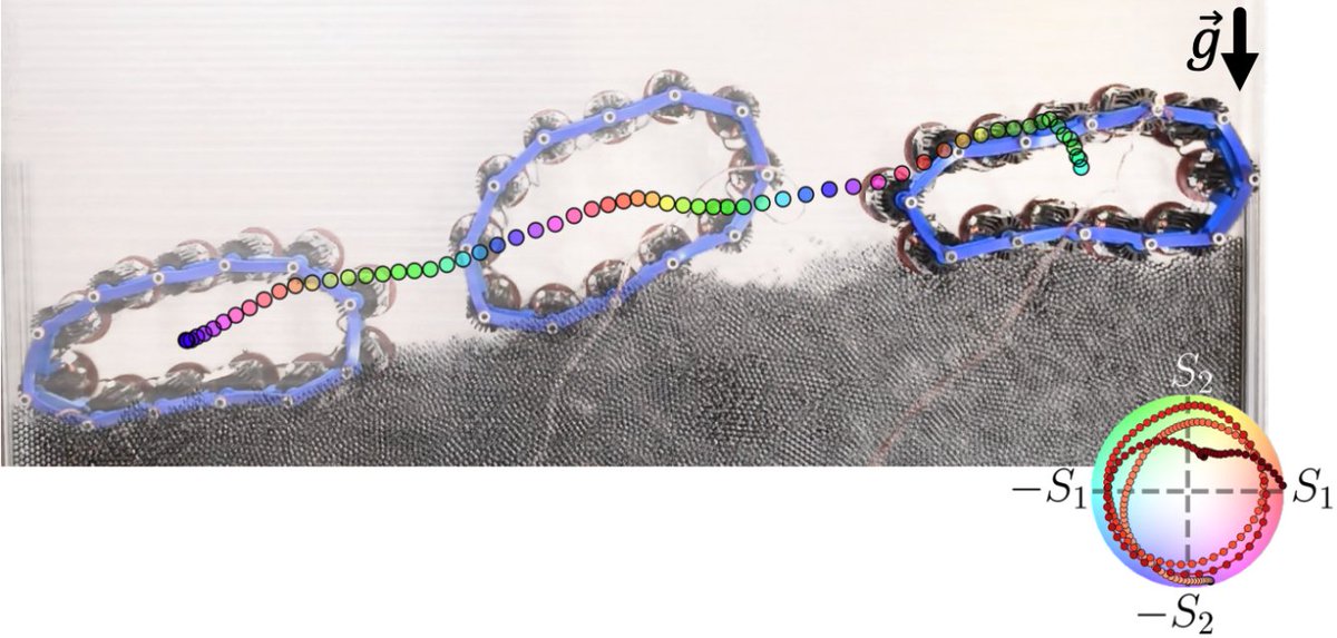 Physical Review E tweet media