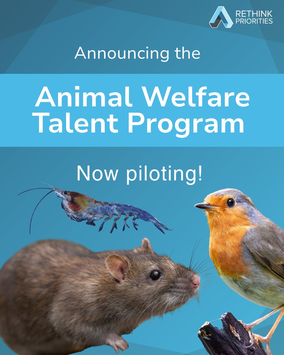 Rethink Priorities tweet media