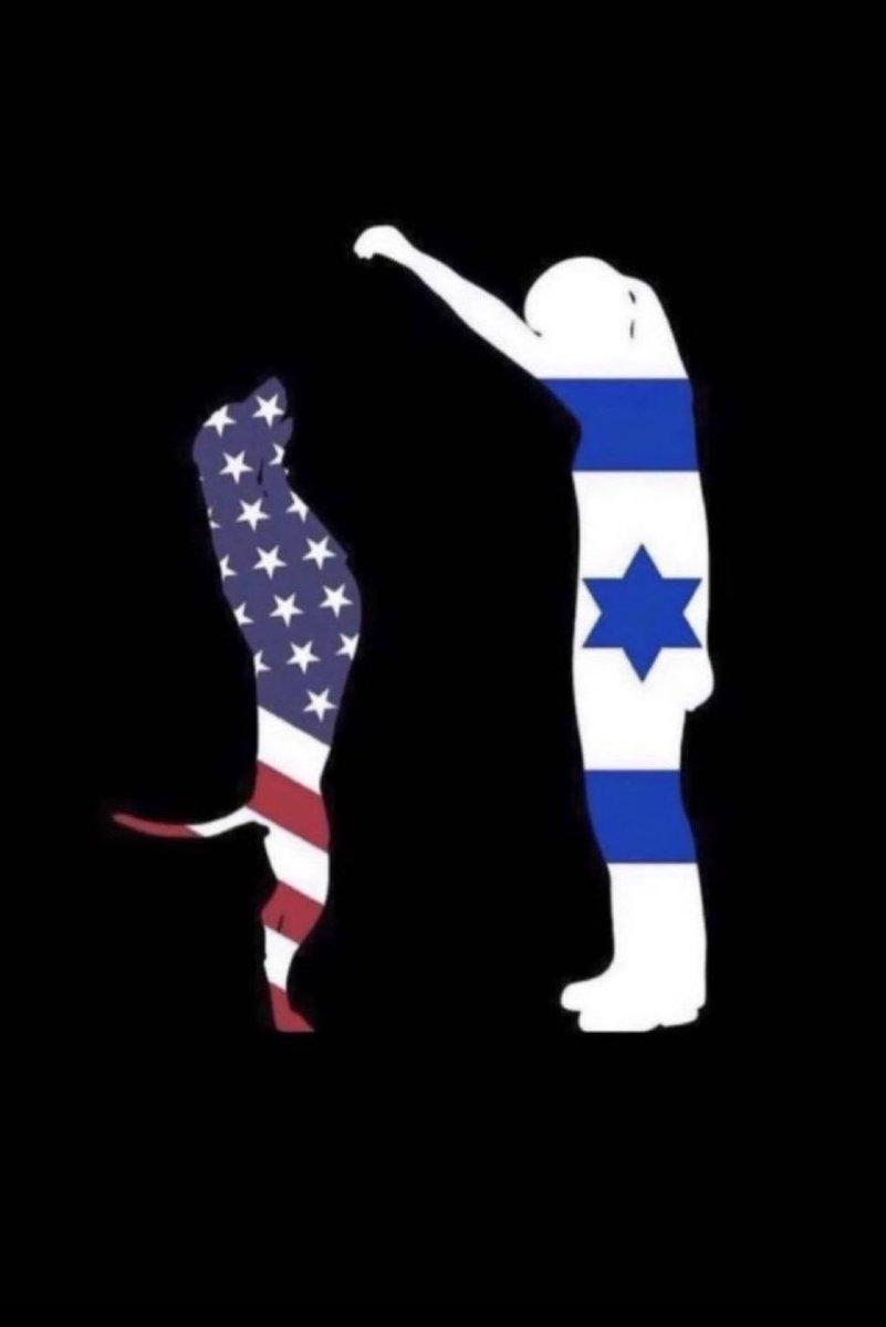 Sanavirón tweet media