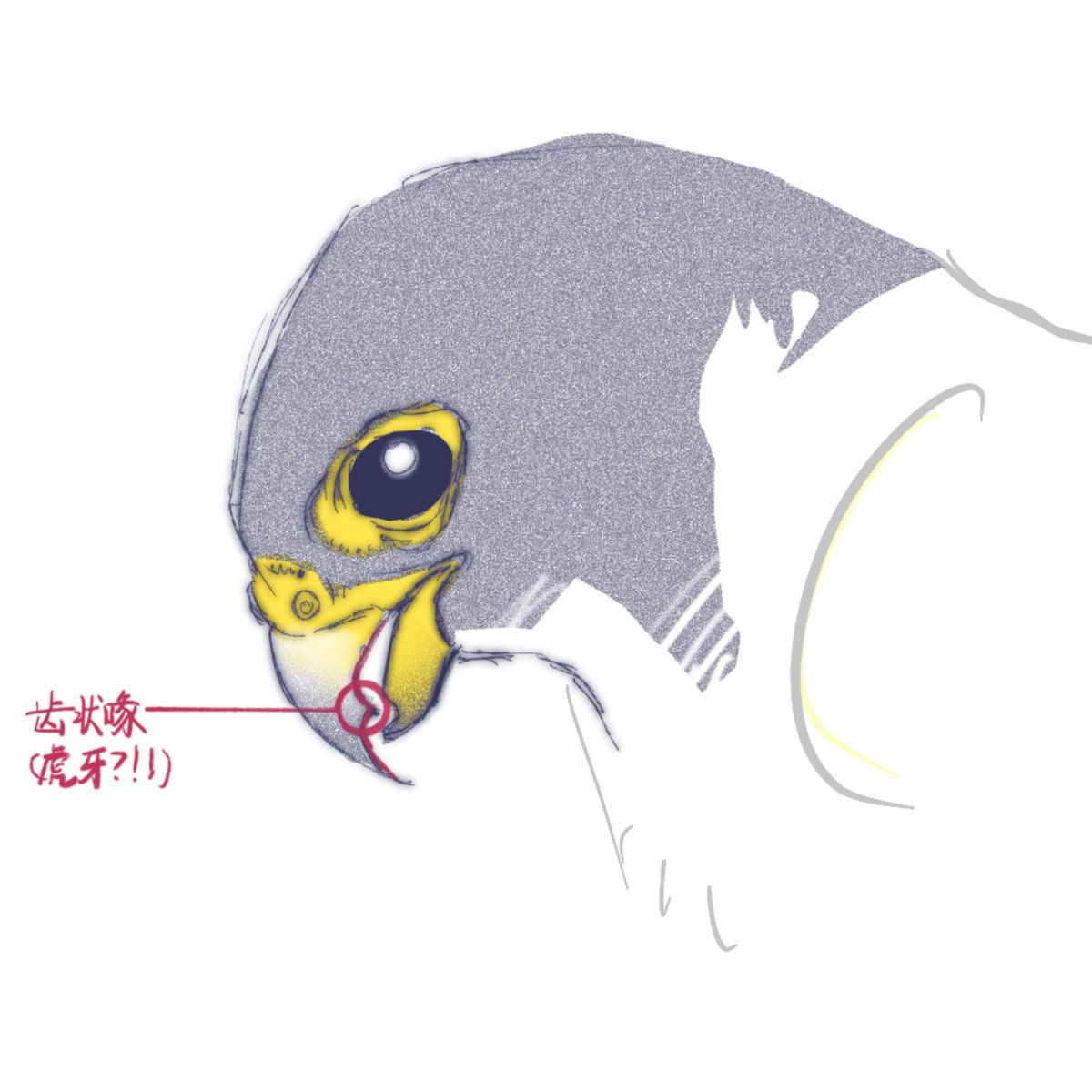 菩萨乘 tweet media