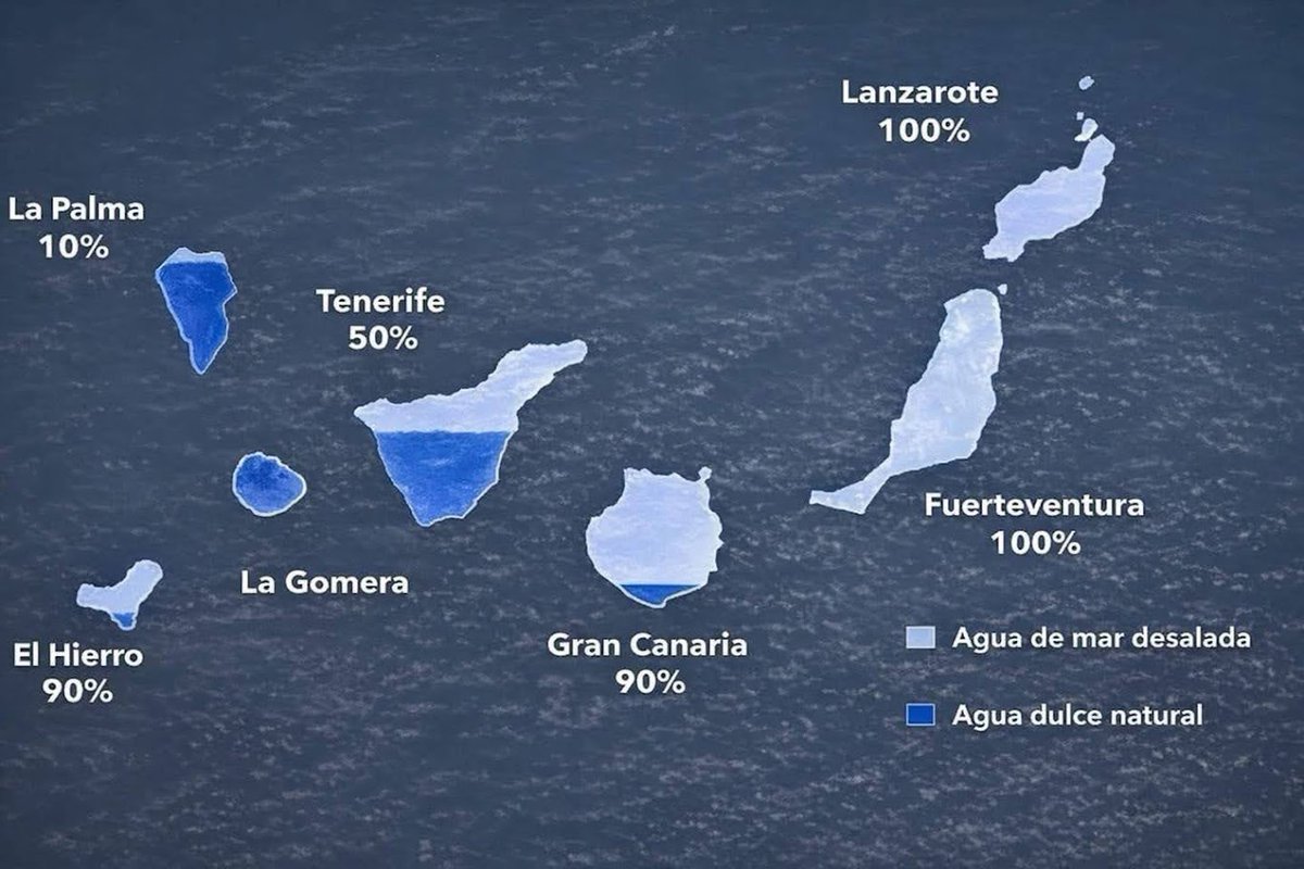 jjafonso tweet media