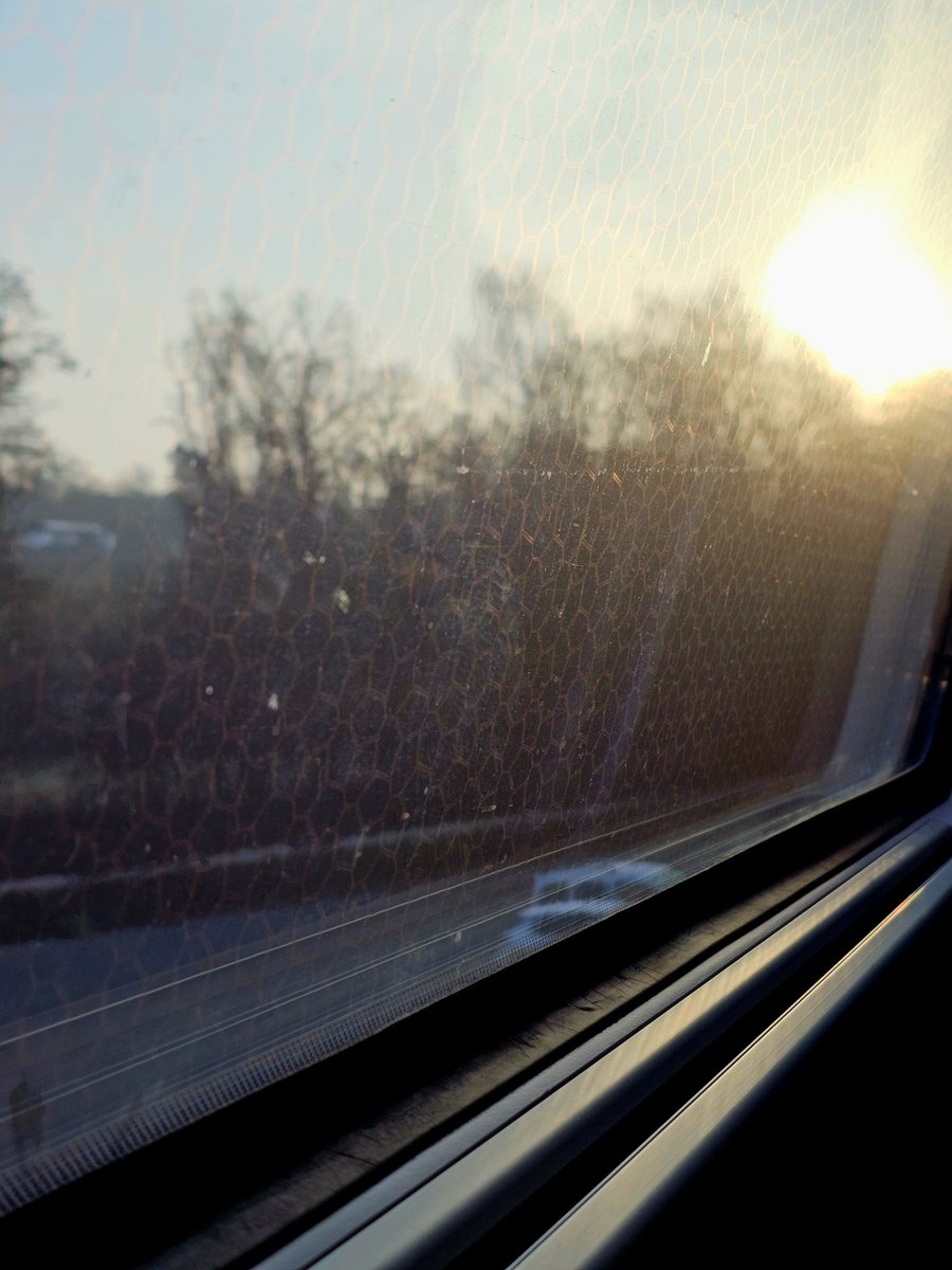 Orkhan Amiraslan tweet media