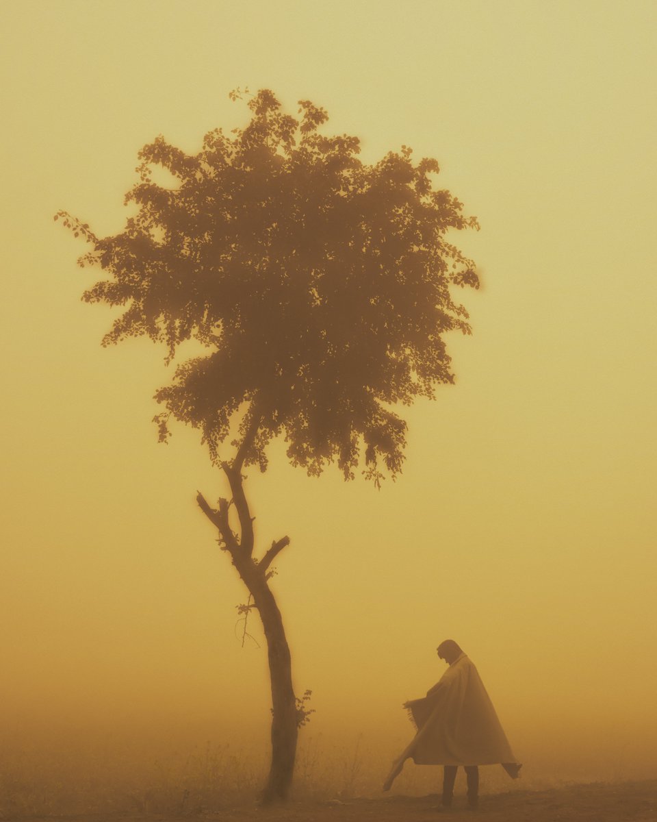 With Dani💎 tweet media