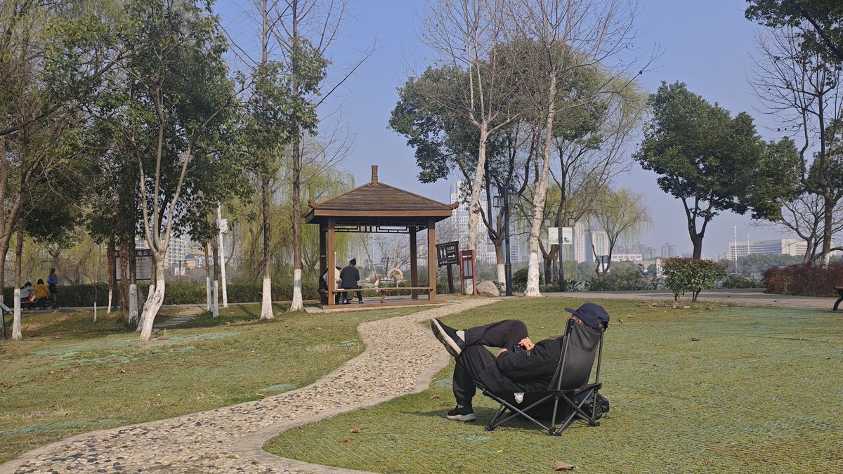 觉醒的熊Bear tweet media