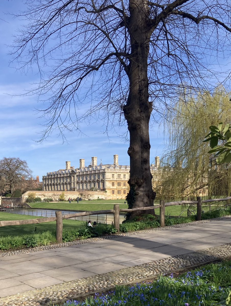 Sandy De Born tweet media