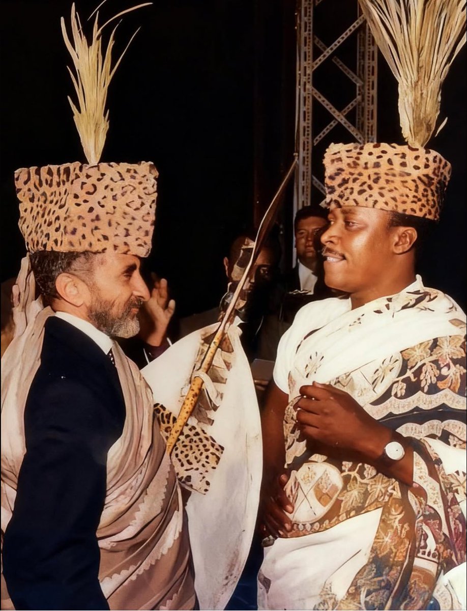 Lij Biniyam 💚💛❤️ tweet media