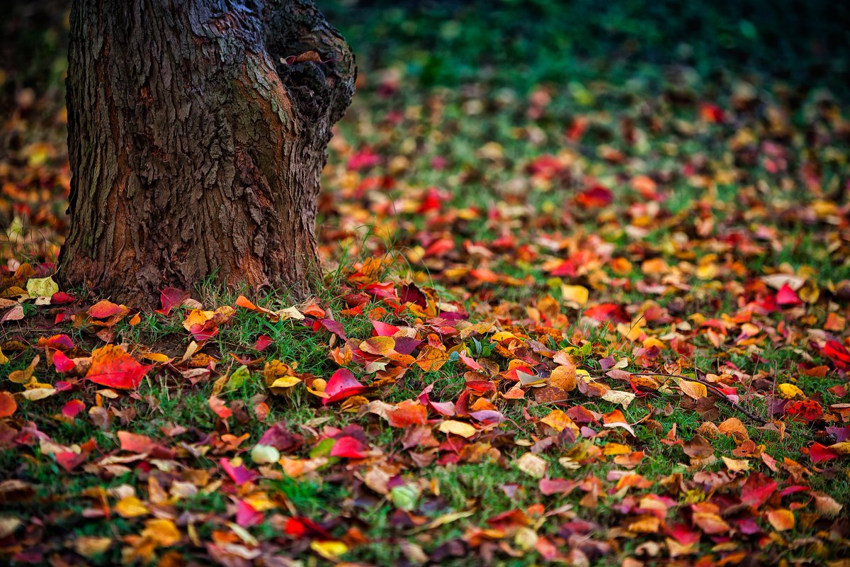 Rsahad Haijvey tweet media