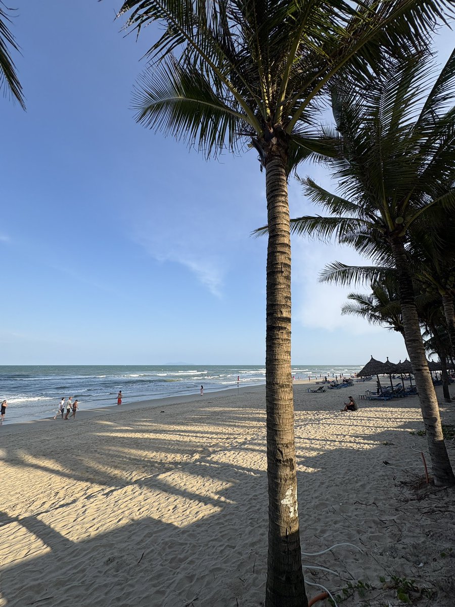 ap_walk's tweet photo. My Khe Beach 🏖️ 

#travel #beach #chill #ExploraJourneys #danang https://t.co/ar93ZSpIvo