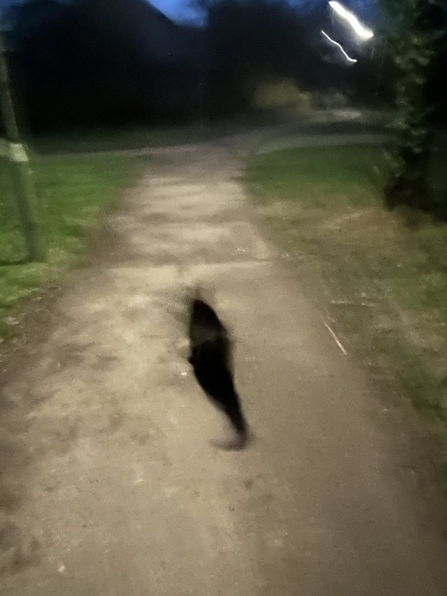 Alcohol Free tweet media