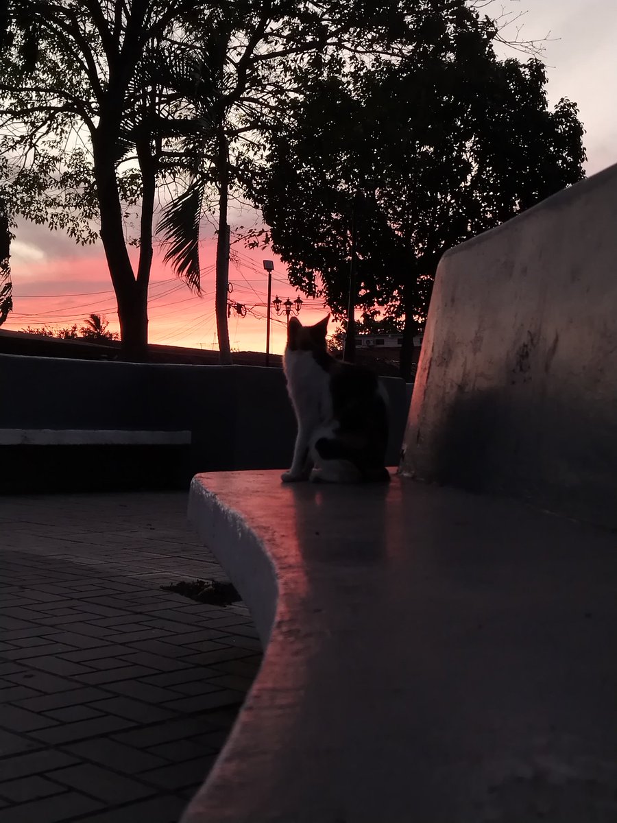 𖤐🕯️void 🔪 tweet media