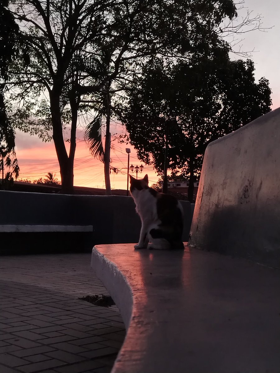 𖤐🕯️void 🔪 tweet media