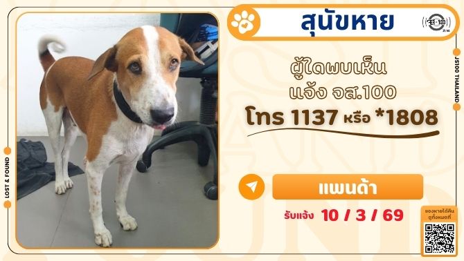 สุนัขหายจากบริเวณหลังวัดเรืองปุญญาราม อ.อัมพวา จ.สมุทรสงคราม ผู้ใดพบเห็นแจ้ง JS100 โทร *1808 หรือ 1137

รายละเอียดเพิ่มเติม : js100.com/en/site/lost_f…

#สุนัขหาย #ตามหาสุนัขหาย #JS100