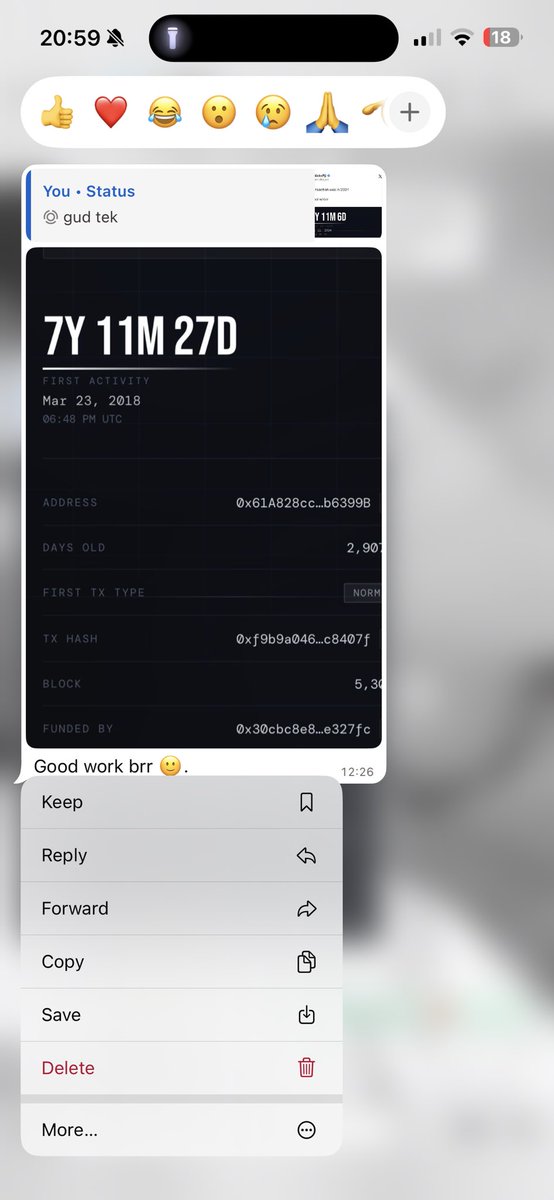 whizz 🍫 tweet media