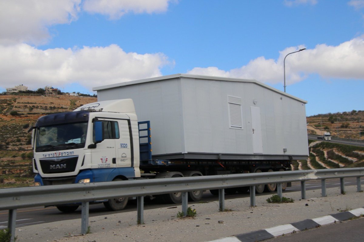 Hagit Ofran חגית עופרן tweet media