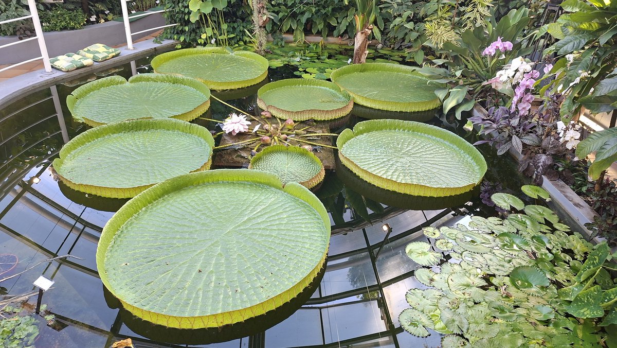 iRozhlas.cz jižní a východní Morava tweet media