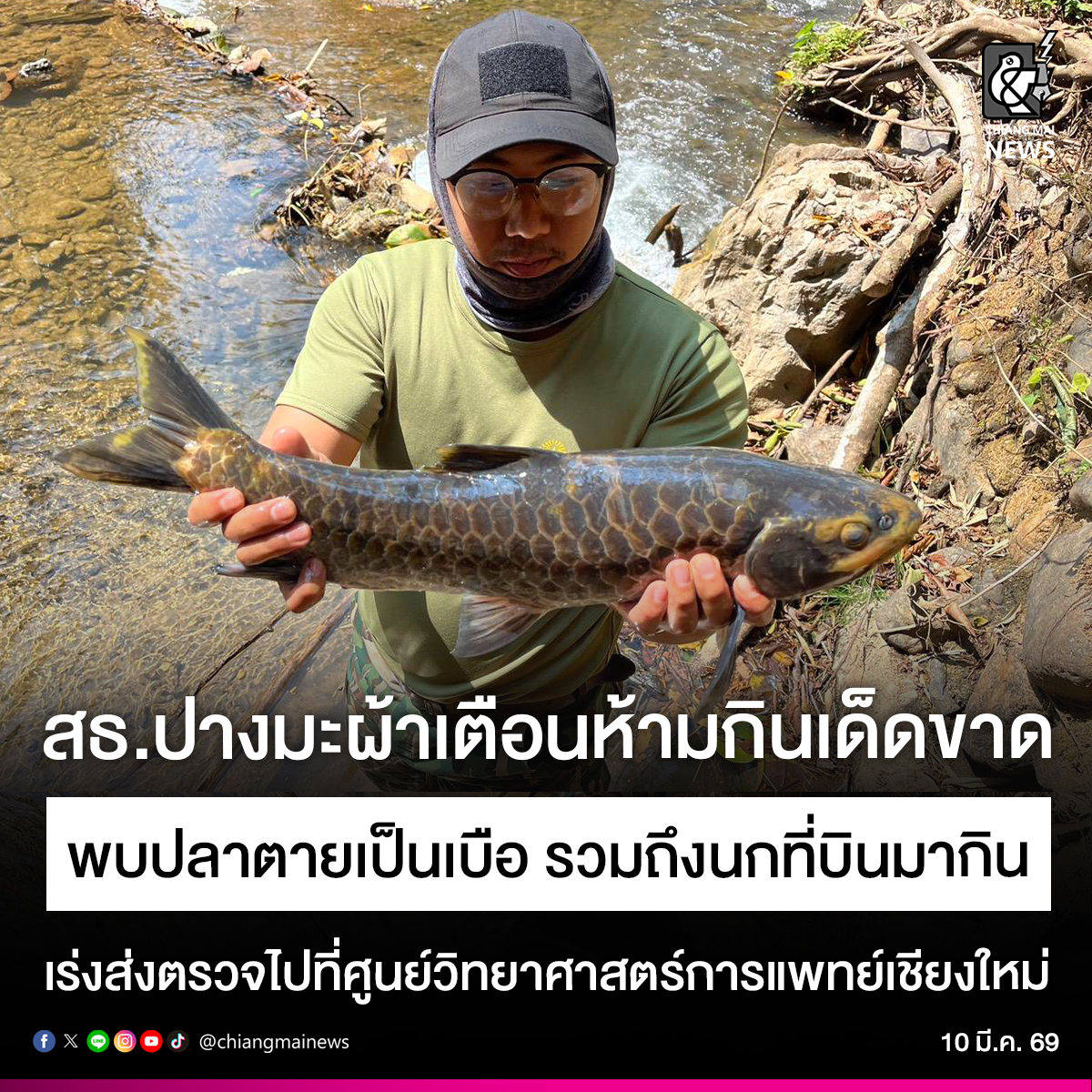 สธ.ปางมะผ้า จ.แม่ฮ่องสอน ออกประกาศด่วน ‼ เตือนประชาชนห้ามกินปลาในแม่น้ำลางโดยเด็ดขาด หลังพบปลาตายเป็นเบือ รวมถึงนกที่ลงมากินน้ำโดยไม่ทราบสาเหตุ เตรียมเก็บตัวอย่างน้ำส่งให้แก่ศูนย์วิทยาศาสตร์การแพทย์ที่เชียงใหม่ตรวจสอบต่อไป

chiangmainews.co.th/news/3896228/

#เชียงใหม่นิวส์ #chiangmainews