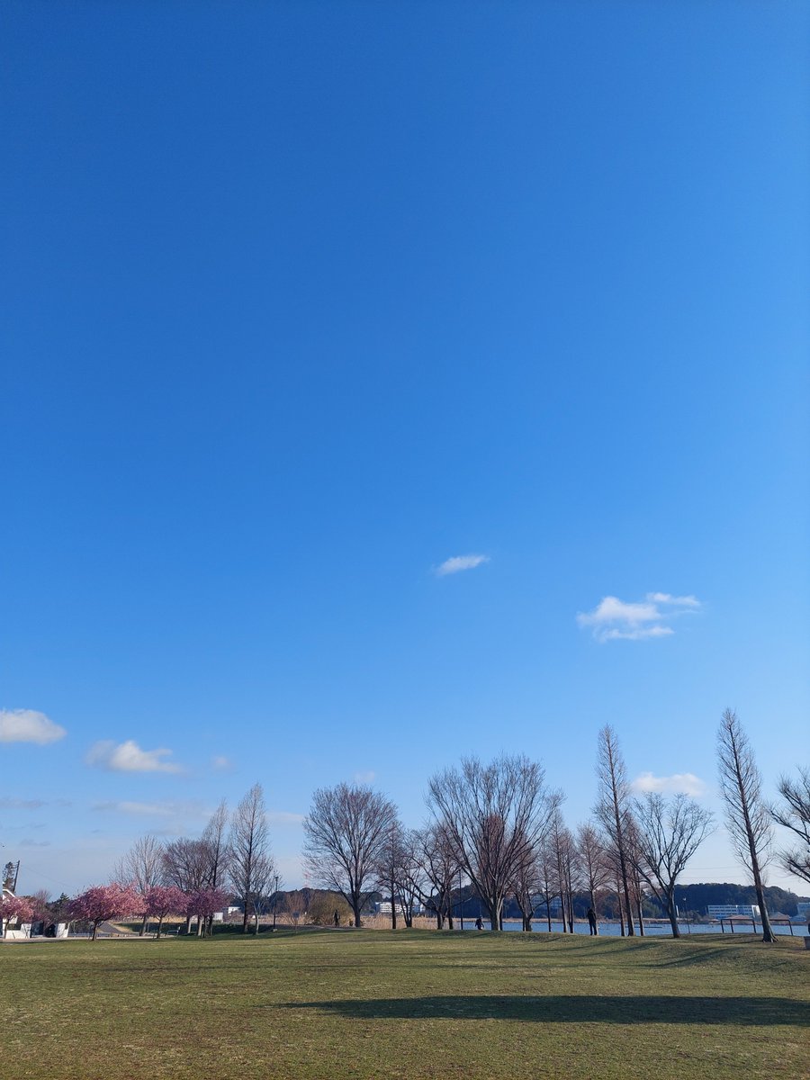 yucaplee's tweet photo. 2026年3月10日の空

晴れた日も雨の日も曇った日も私の日常には米津さんの音楽が溢れています

米津さんの音楽が届くべき人のところまで広く遠く羽ばたいていきますように

感謝と祈りを込めて
お誕生日おめでとうございます🎂

 #米津玄師誕生祭2026 https://t.co/YUnxEMJqI1