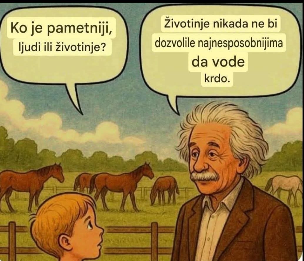 Lady Ana 👑 tweet media