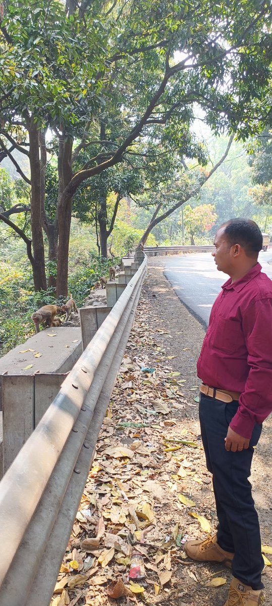 KoraputV's tweet photo. ଜୟପୁର ଘାଟି ମାଙ୍କଡ଼ ମାନଙ୍କୁ ଦେଖି କିଛି ସମୟ ଅଟକି ଯାଇଥିଲି l https://t.co/Vtn4Rn25D8