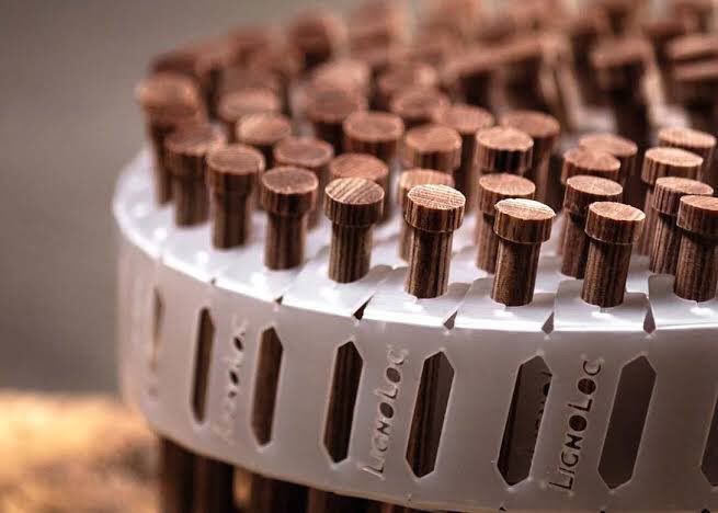 Wrath Of Gnon tweet media