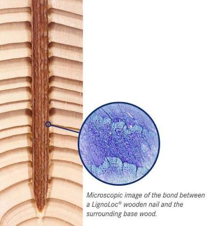 Wrath Of Gnon tweet media