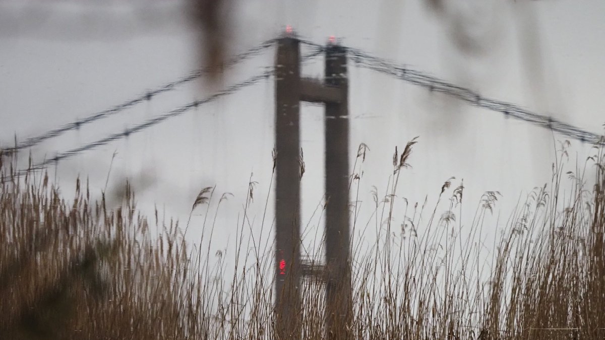 Jeff Richardson tweet media