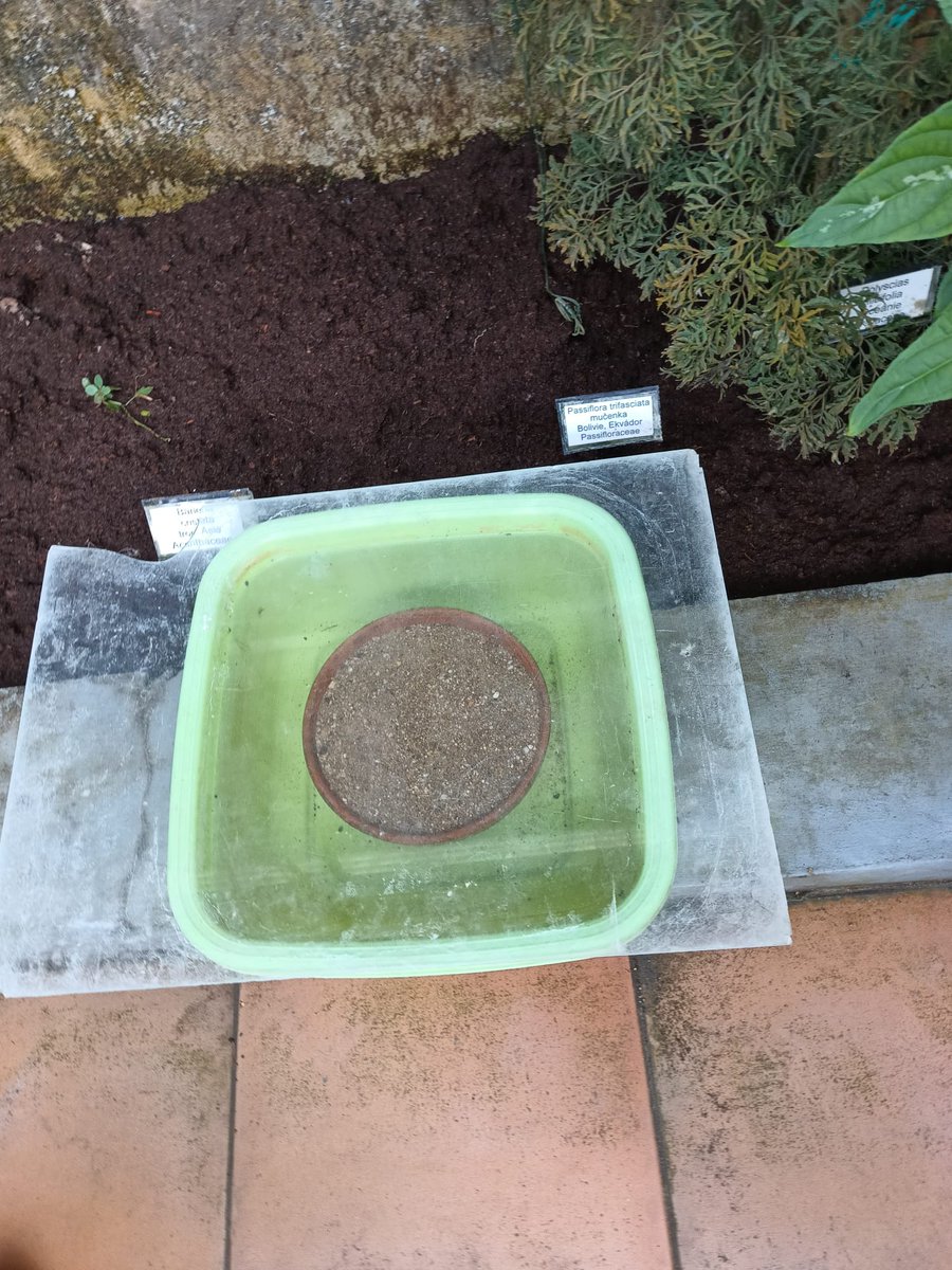 iRozhlas.cz jižní a východní Morava tweet media