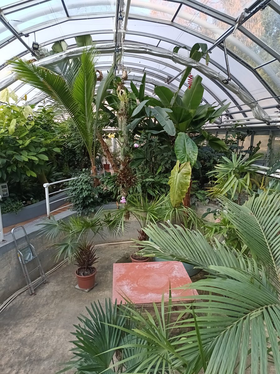 iRozhlas.cz jižní a východní Morava tweet media