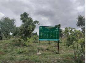 National Authority, CAMPA, MoEF&CC, GoI tweet media