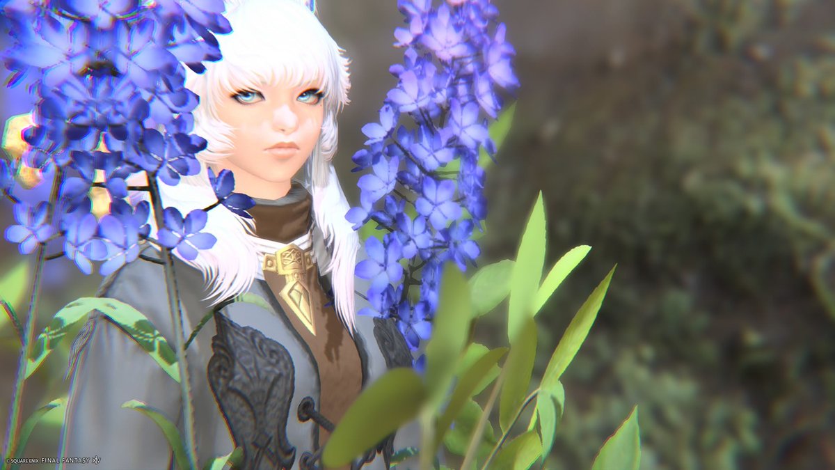 🤍Silk🤍 #ffxiv #oc