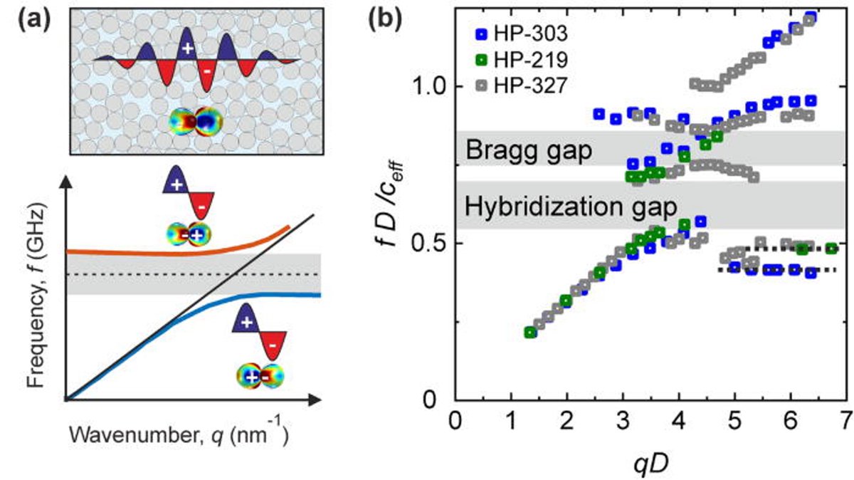 CRC 1585 MultiTrans tweet media