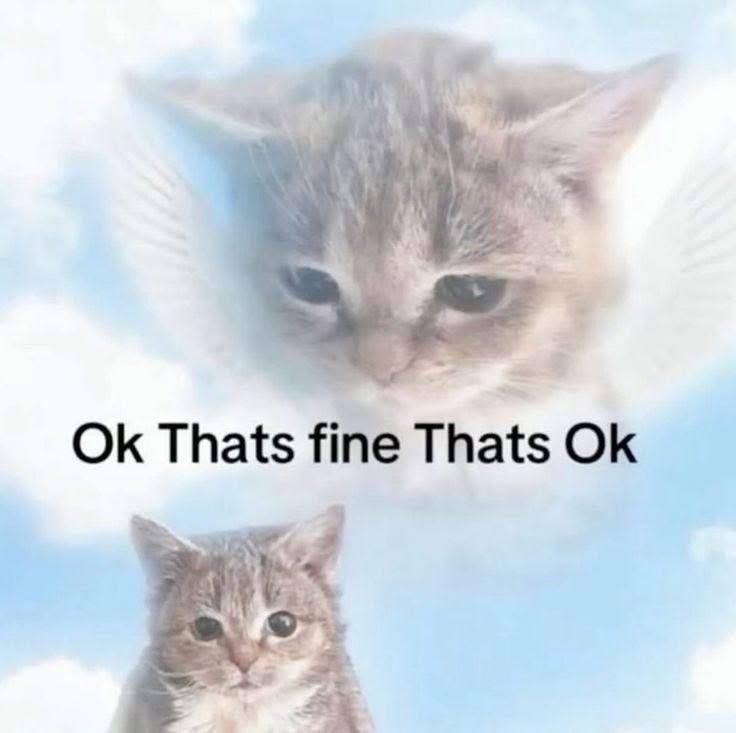 dogecore tweet media