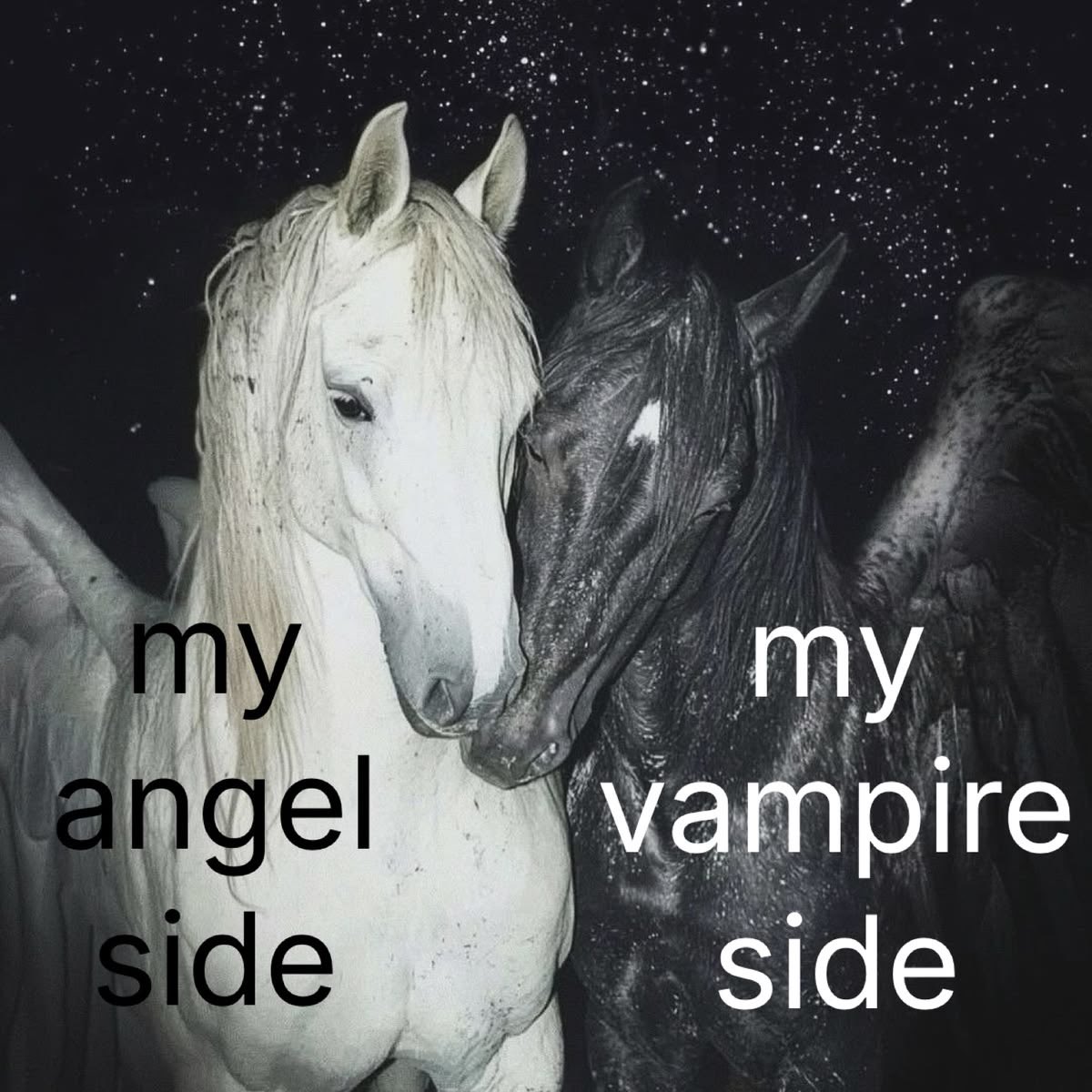 goth aesthetics (@gothsthetiques) on Twitter photo 