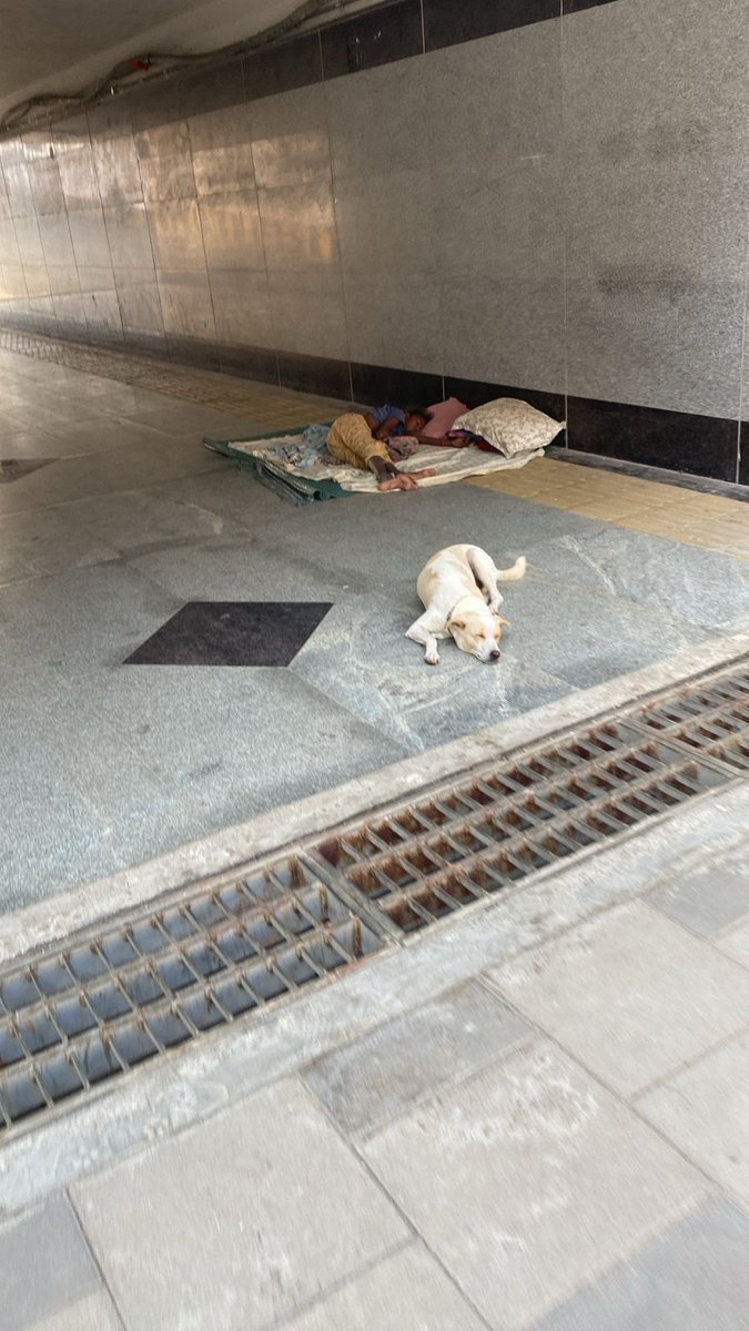 imt7475's tweet photo. Underpass at costal road . If not taken care today then this will be permanent place for them @mybmc @MumbaiPolice @RoadsOfMumbai @CMOMaharashtra https://t.co/SWmIj0ovox