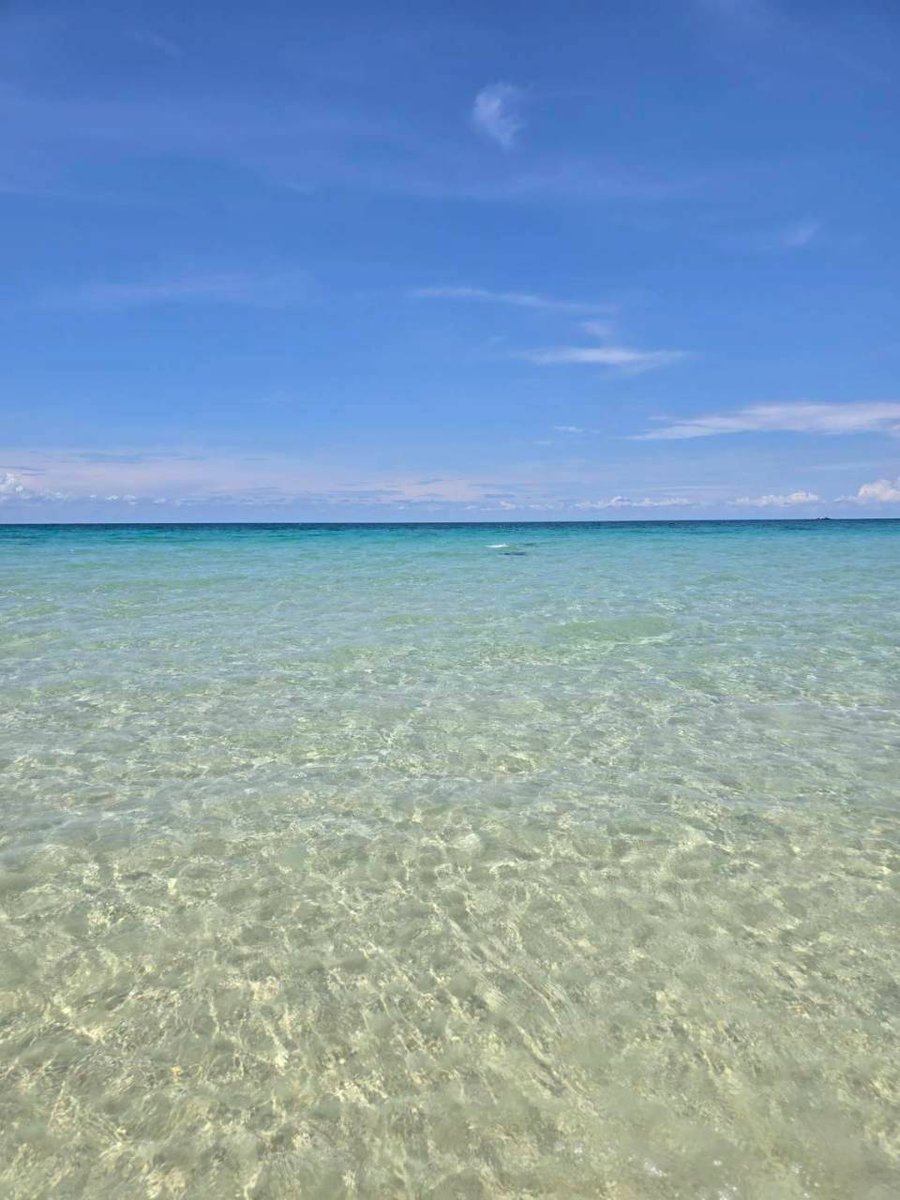 หมกมุ่นในดงวาย tweet media