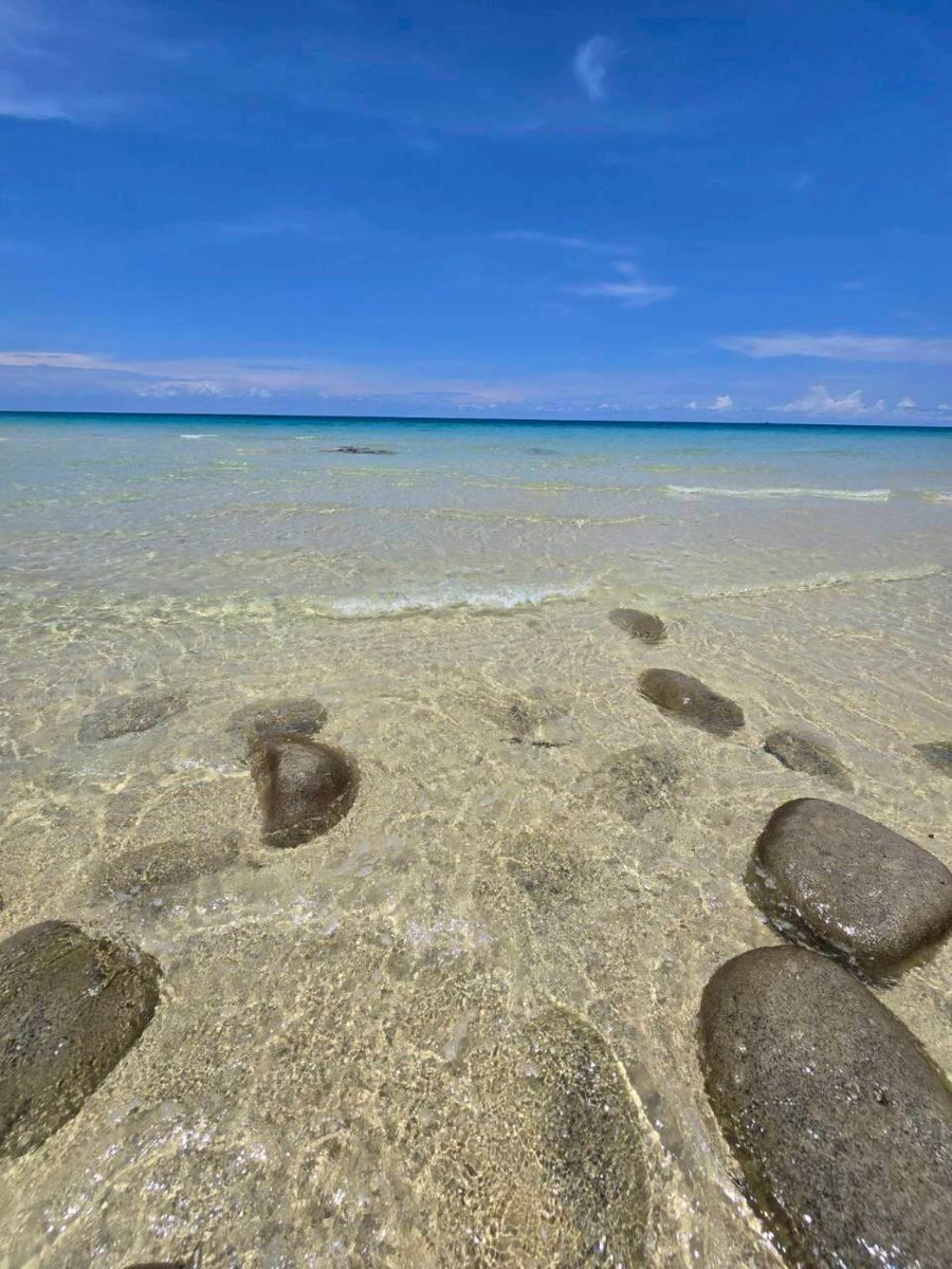 หมกมุ่นในดงวาย tweet media