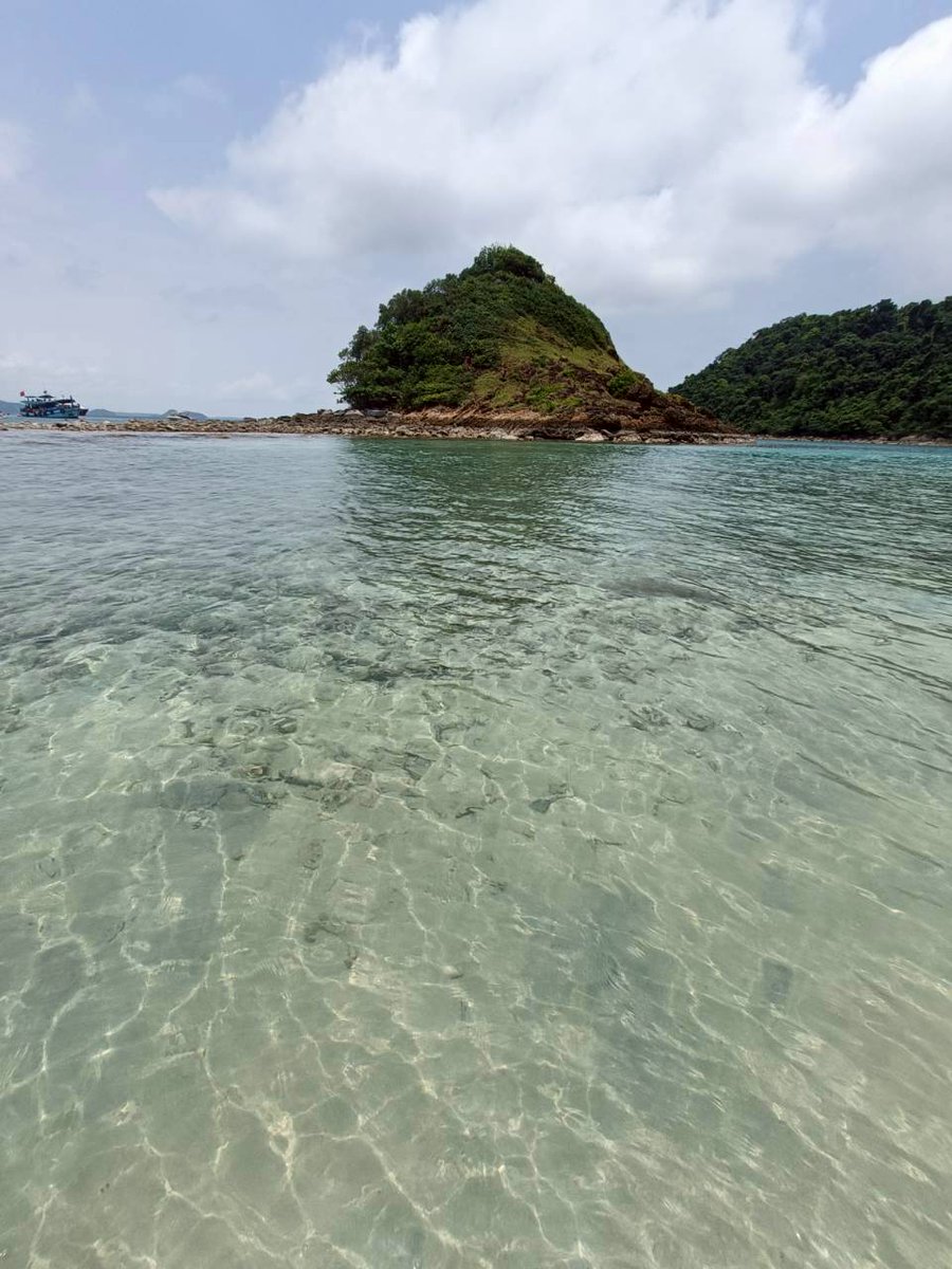 หมกมุ่นในดงวาย tweet media