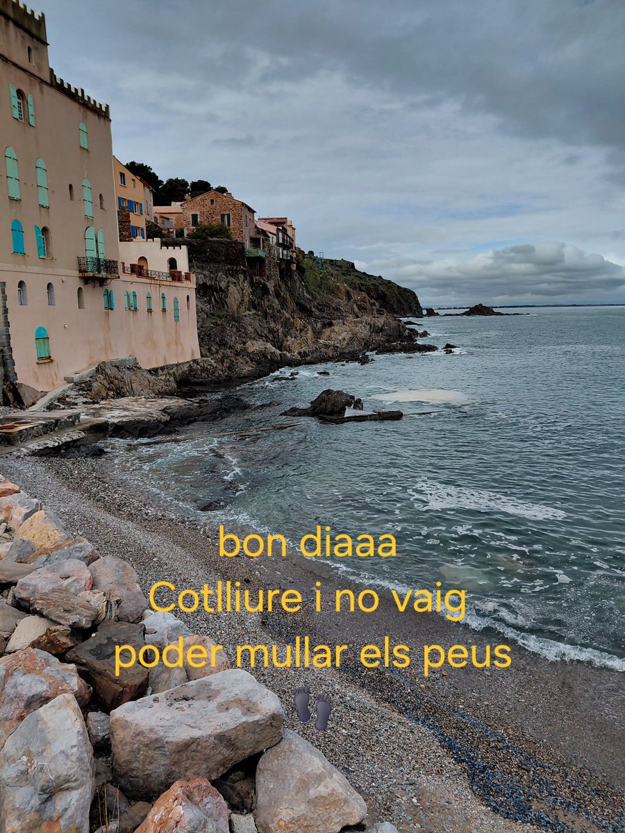 Lola Mas Arjant tweet media