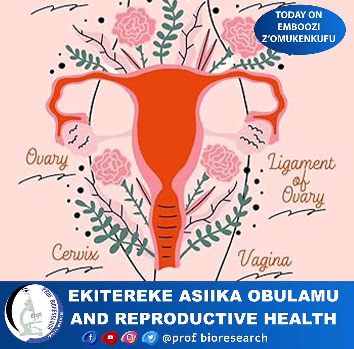 Prof Bioresearch tweet media