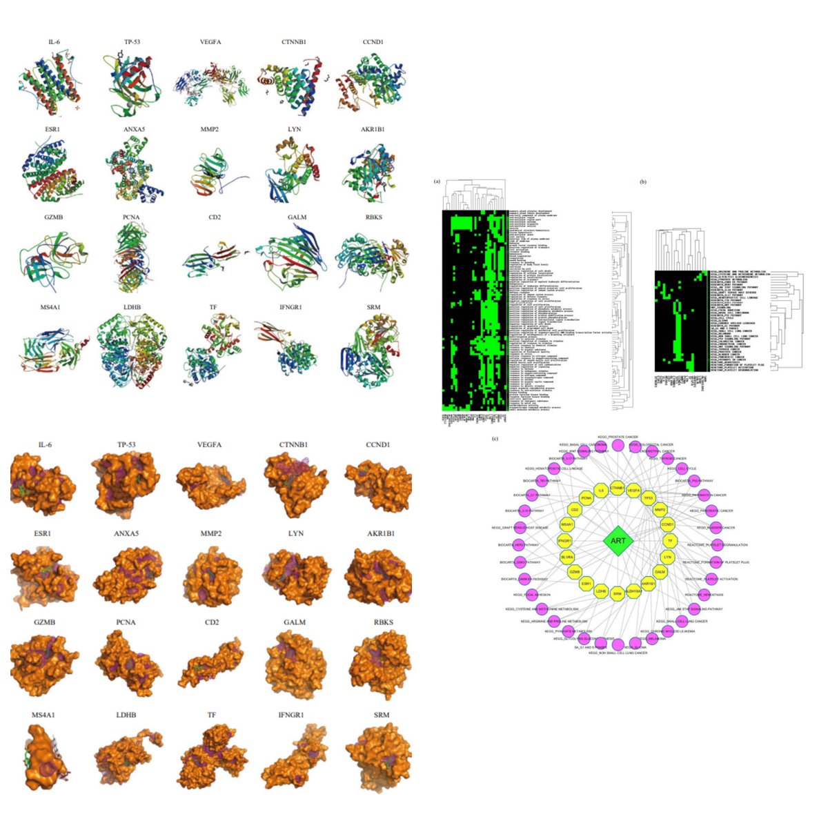 IJP_IMRPress's tweet photo. 🧪The latest work from Henan University of Chinese Medicine by first author Dr. Fengbin Liu and his team is now featured in IJP!
👉:https://t.co/VH0rLCl4pS
💡Can #Artesunate treat #UlcerativeColitis via #IL6 #TP53 #Immunomodulation? #IBD #NetworkPharmacology #DrugDiscovery https://t.co/lSeTnawLgr