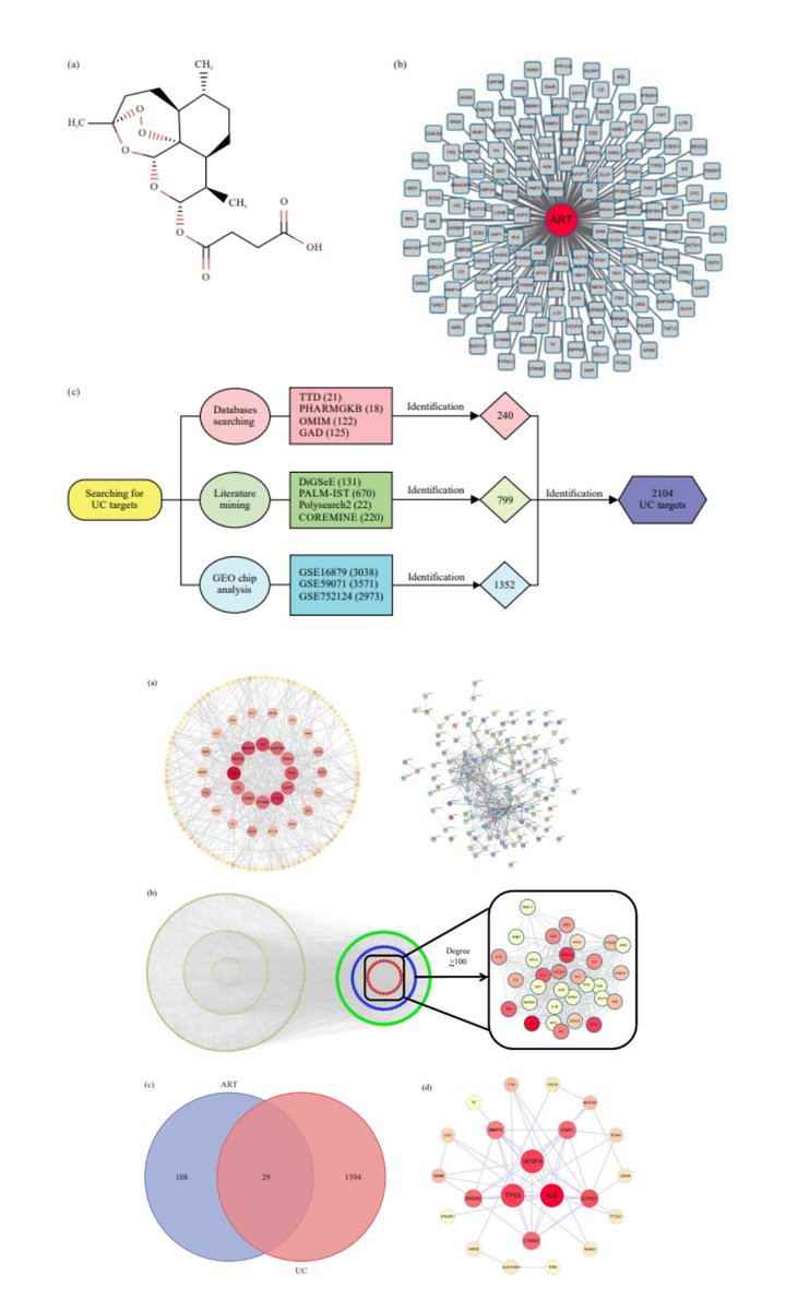 IJP_IMRPress's tweet photo. 🧪The latest work from Henan University of Chinese Medicine by first author Dr. Fengbin Liu and his team is now featured in IJP!
👉:https://t.co/VH0rLCl4pS
💡Can #Artesunate treat #UlcerativeColitis via #IL6 #TP53 #Immunomodulation? #IBD #NetworkPharmacology #DrugDiscovery https://t.co/lSeTnawLgr