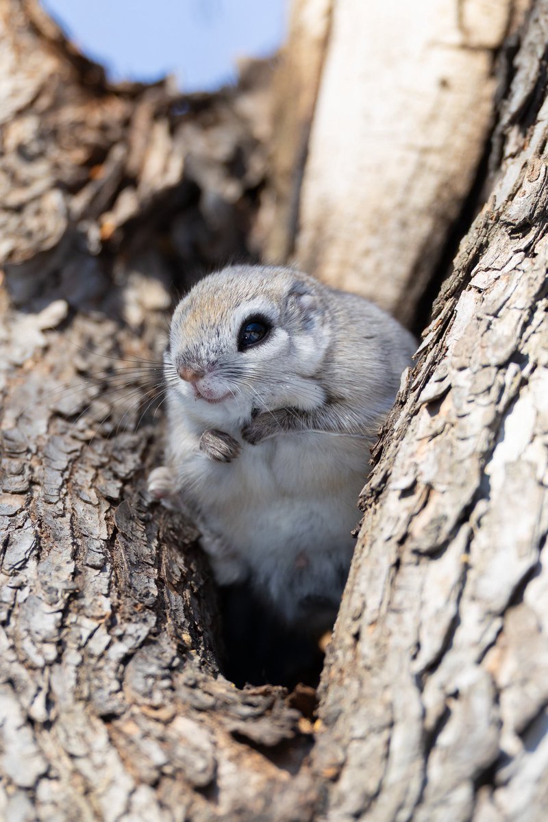 らうと tweet media