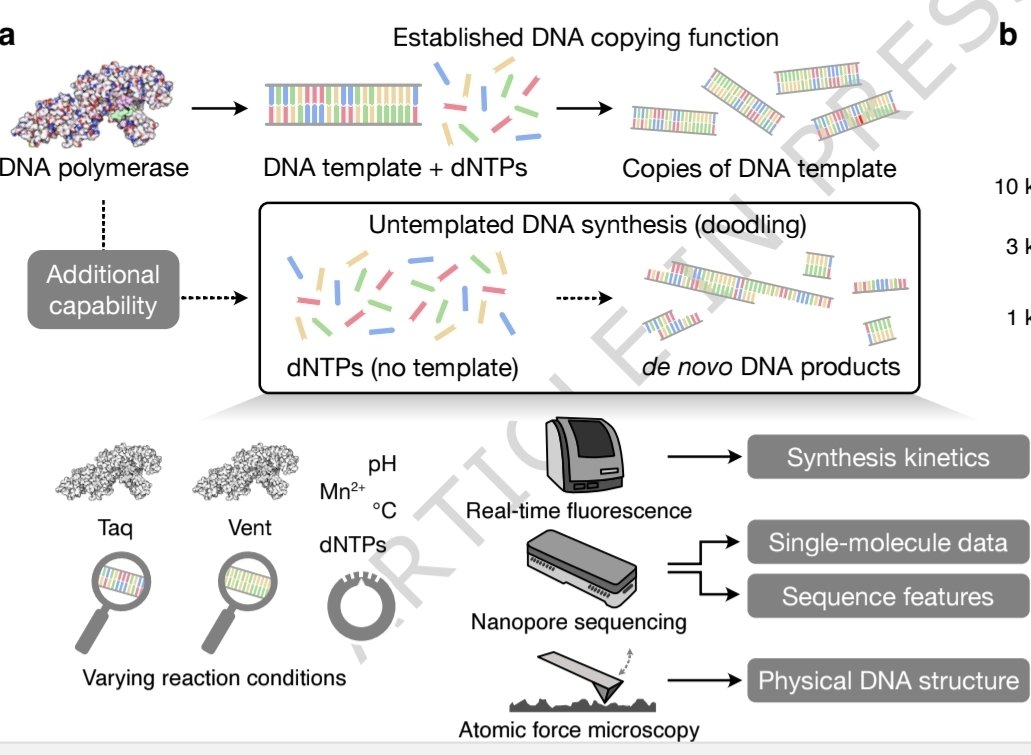 Olivier Borkowski tweet media