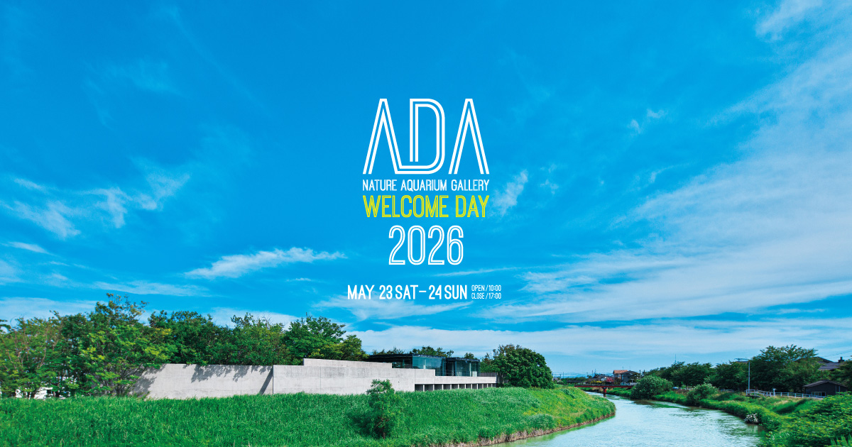アクアデザインアマノ ADA (@ADA_Japan) / Posts / X アクアデザインアマノ ADA (@ADA_Japan) / Posts / X