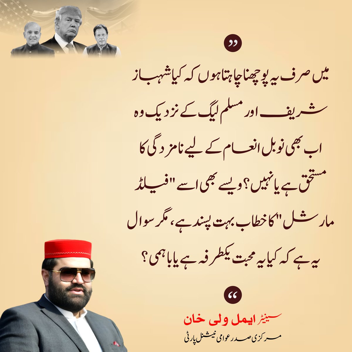 Awami National Party tweet media