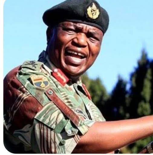 Retired Lt General Winston Sigauke Mapuranga tweet media