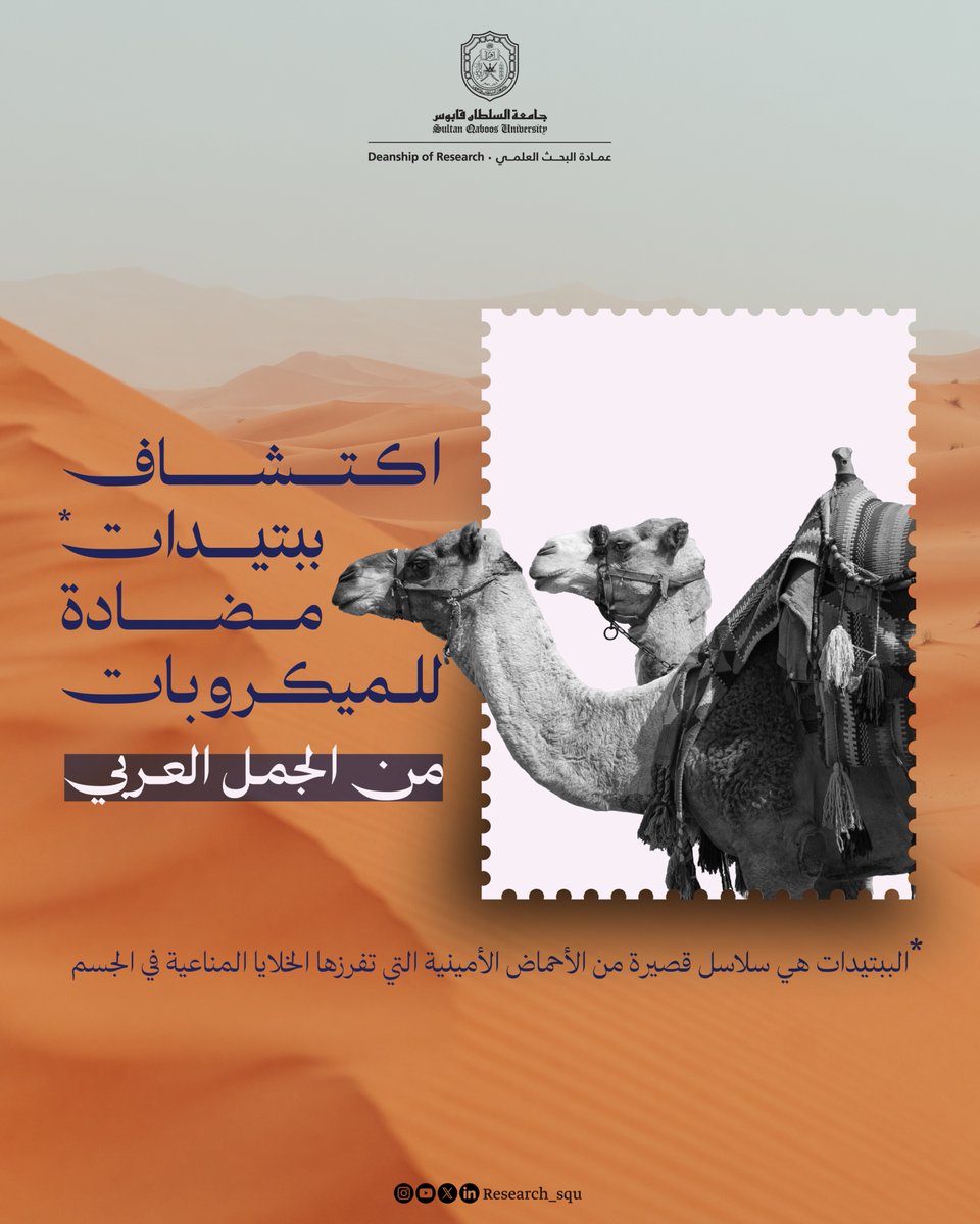 عمادة البحث العلمي tweet media