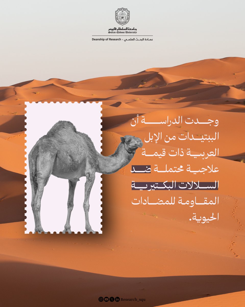 عمادة البحث العلمي tweet media