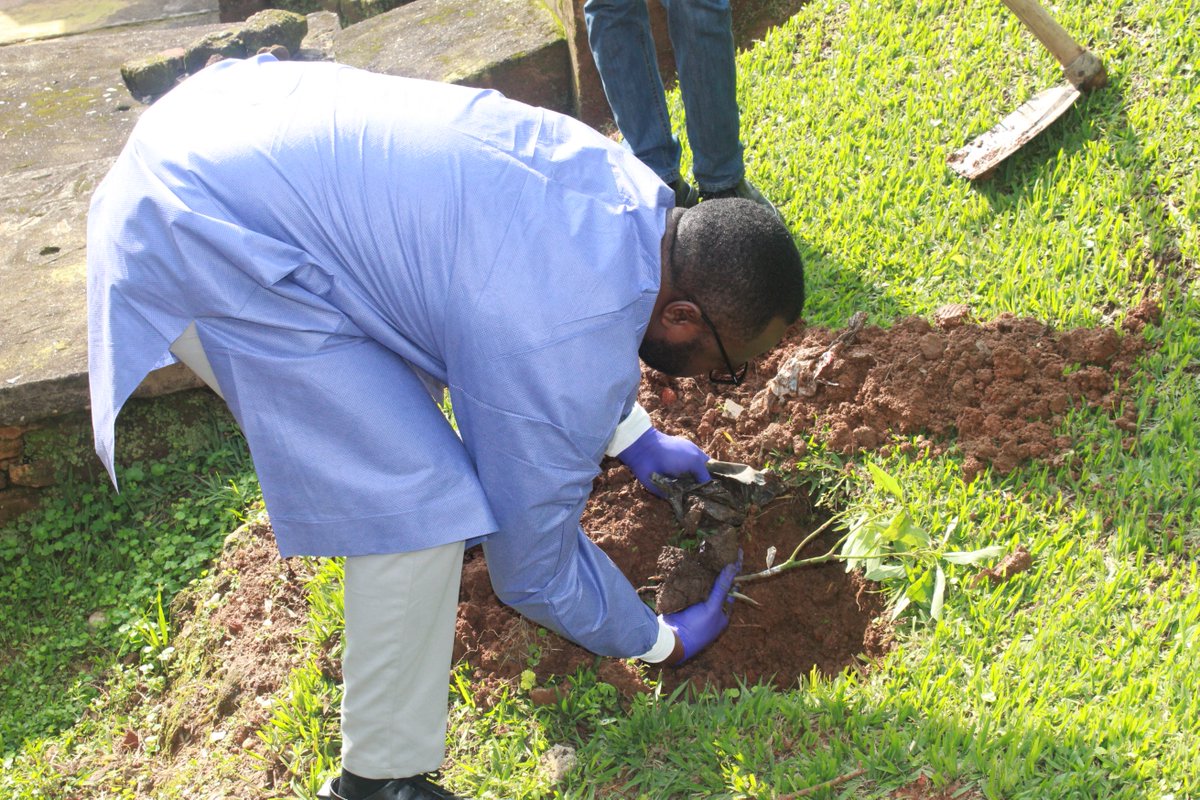 MurundaHospital's tweet photo. Uyu munsi kuwa 10/03/2026 abakozi b'Ibitaro bya Murunda bazindukiye mu gitondo cy’isuku aho hatewe ibiti by’imbuto birenga 50, ni  muri gahunda ya "Greening and beautification". Iki gikorwa cyagenze neza.
@RutsiroDistrict https://t.co/04d7JoIREV