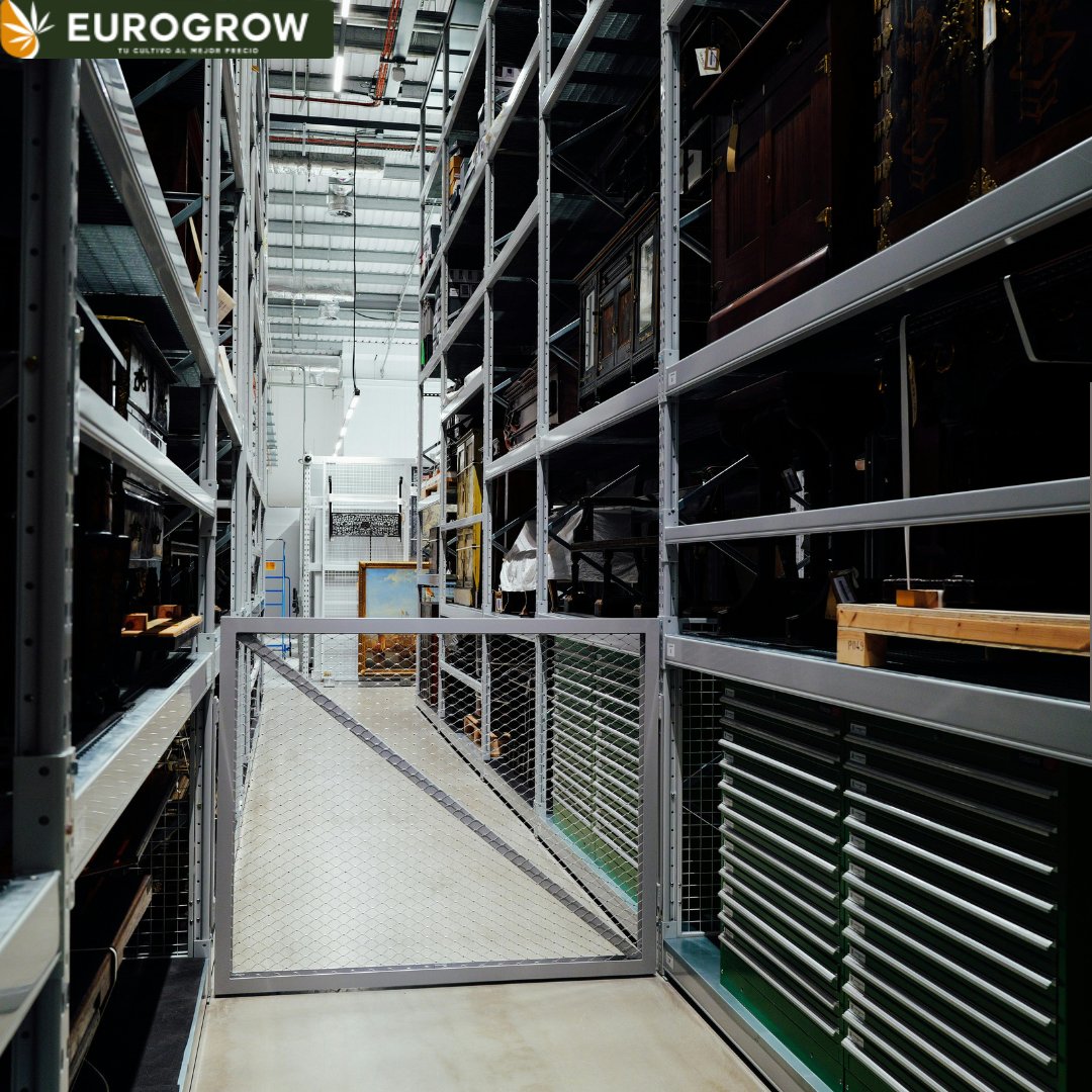 📦🌱 ¡Más de 8.000 m² de almacén en Eurogrow!

Esto nos permite:
✔️ Mantener un amplio stock
✔️ Gestionar pedidos con rapidez
✔️ Garantizar disponibilidad incluso en alta demanda
✔️ Envíos seguros a toda España (excepto Canarias)

#eurogrow #growshop #cultivo